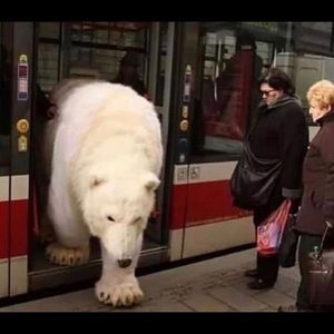 Meet your Posher, Ian